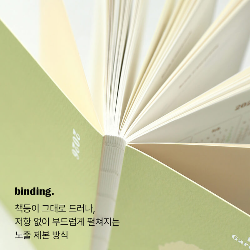 Close-up of a book with a soft, open cover on a green background